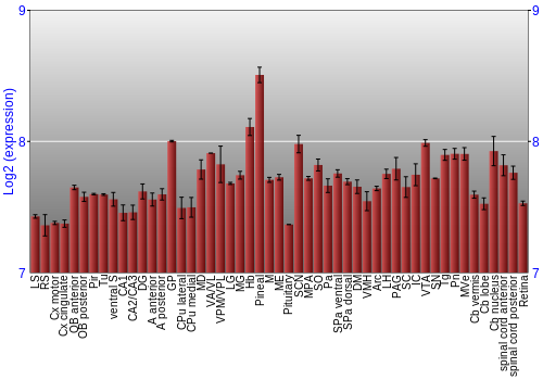 Expression graph