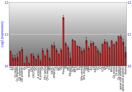 Expression graph