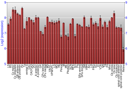 Expression graph