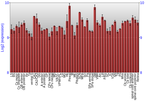 Expression graph