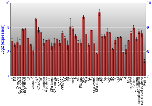 Expression graph