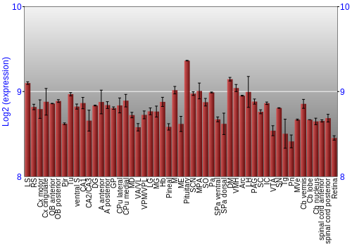 Expression graph