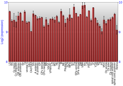 Expression graph