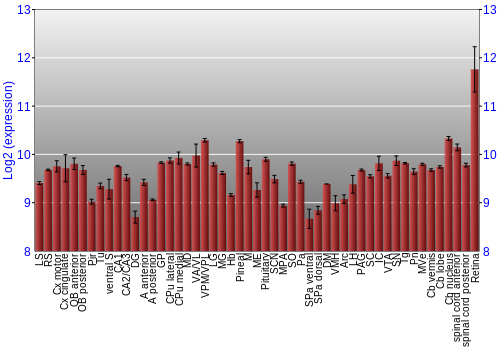 Expression graph