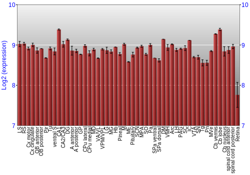 Expression graph