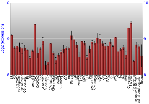 Expression graph