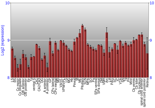 Expression graph
