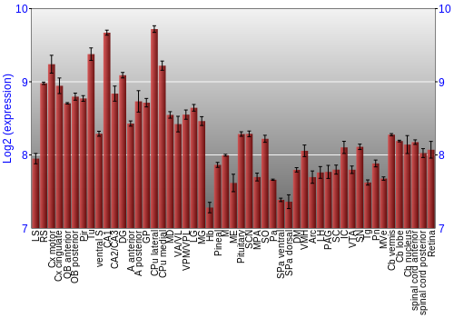 Expression graph
