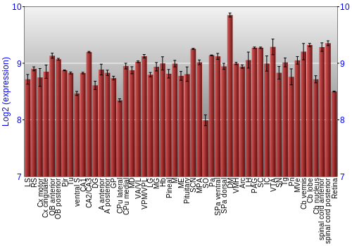 Expression graph