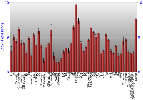 Expression graph
