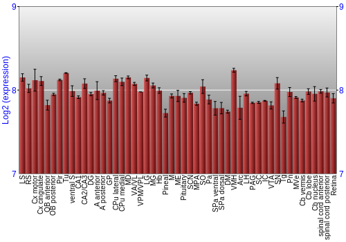 Expression graph