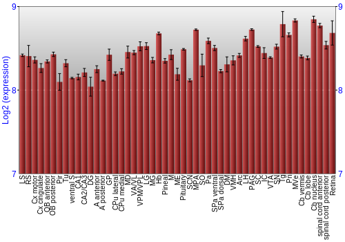 Expression graph