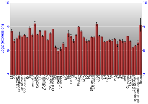 Expression graph
