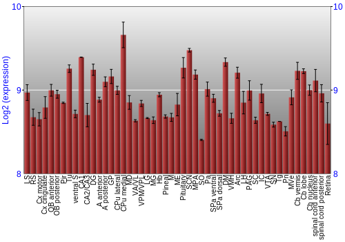 Expression graph