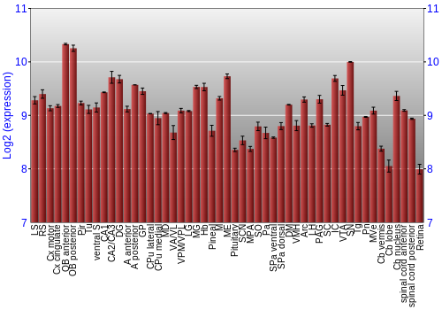 Expression graph