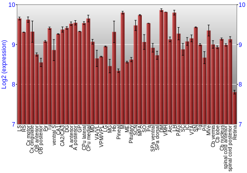 Expression graph