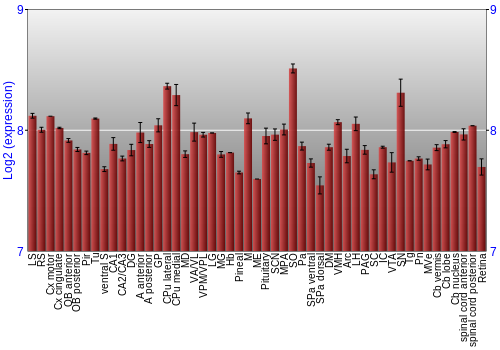 Expression graph