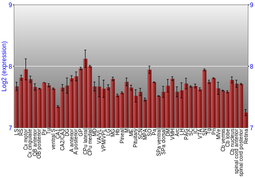 Expression graph