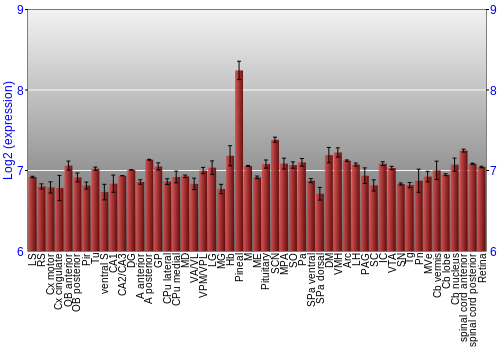 Expression graph