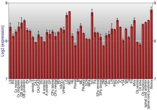 Expression graph