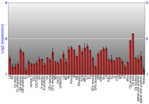 Expression graph