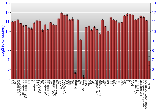 Expression graph