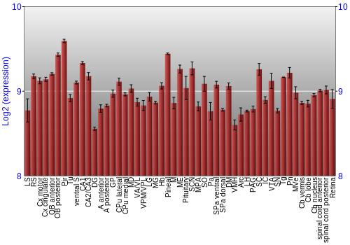 Expression graph
