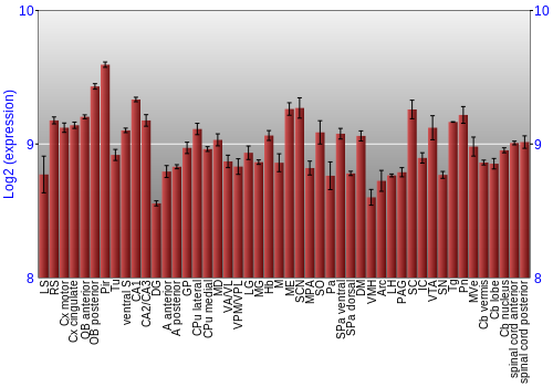 Multi-state expression graph