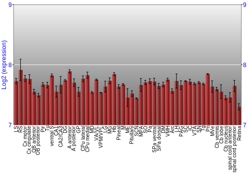 Expression graph