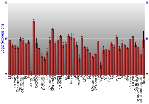 Expression graph