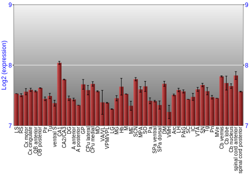 Multi-state expression graph