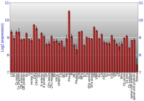 Expression graph