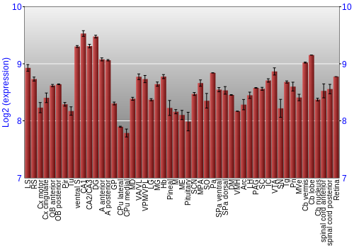 Expression graph