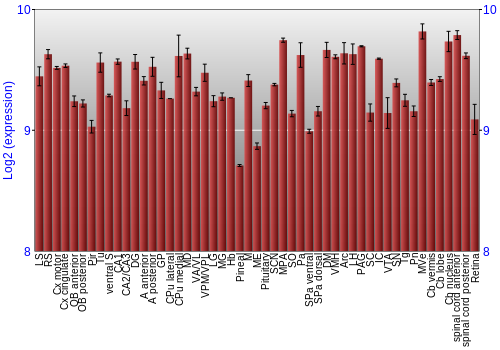 Expression graph