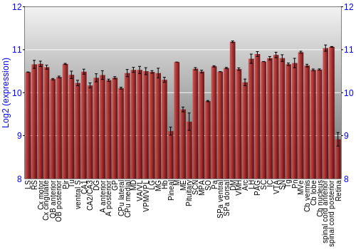 Expression graph