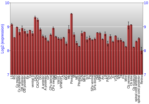 Expression graph
