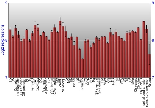 Expression graph