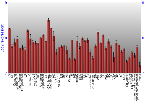 Expression graph