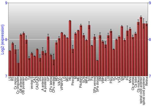 Expression graph