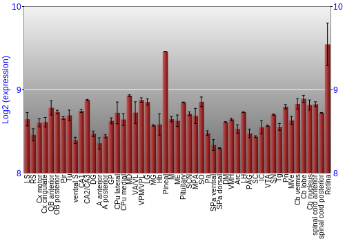 Expression graph