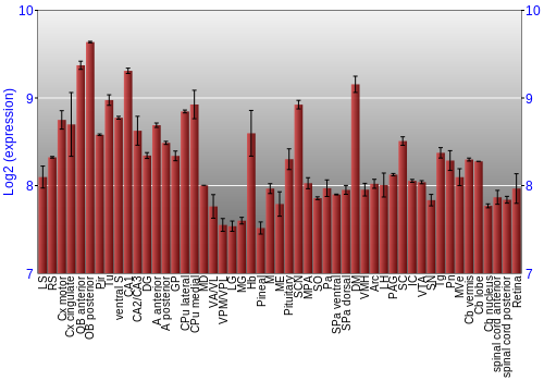 Expression graph