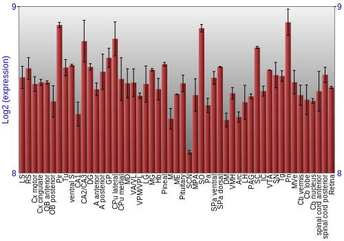 Expression graph