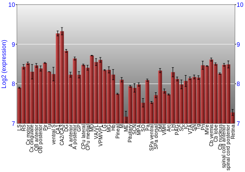 Expression graph