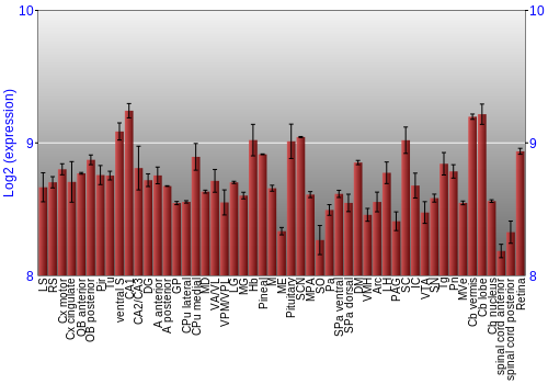 Expression graph