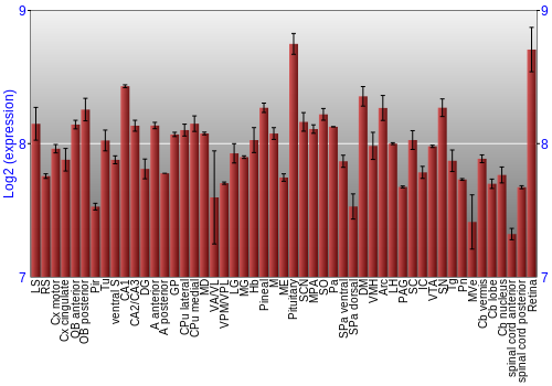 Expression graph