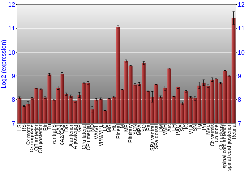 Expression graph