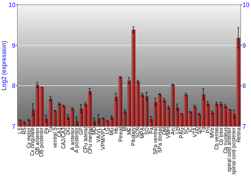 Expression graph