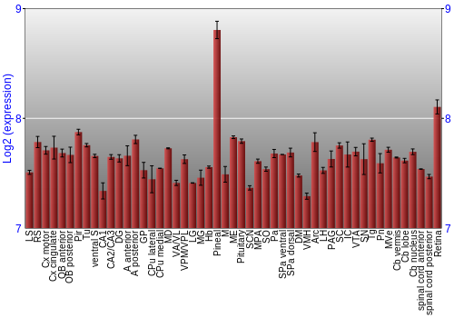 Expression graph