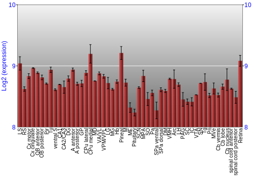 Expression graph