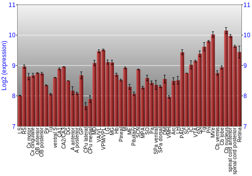 Expression graph